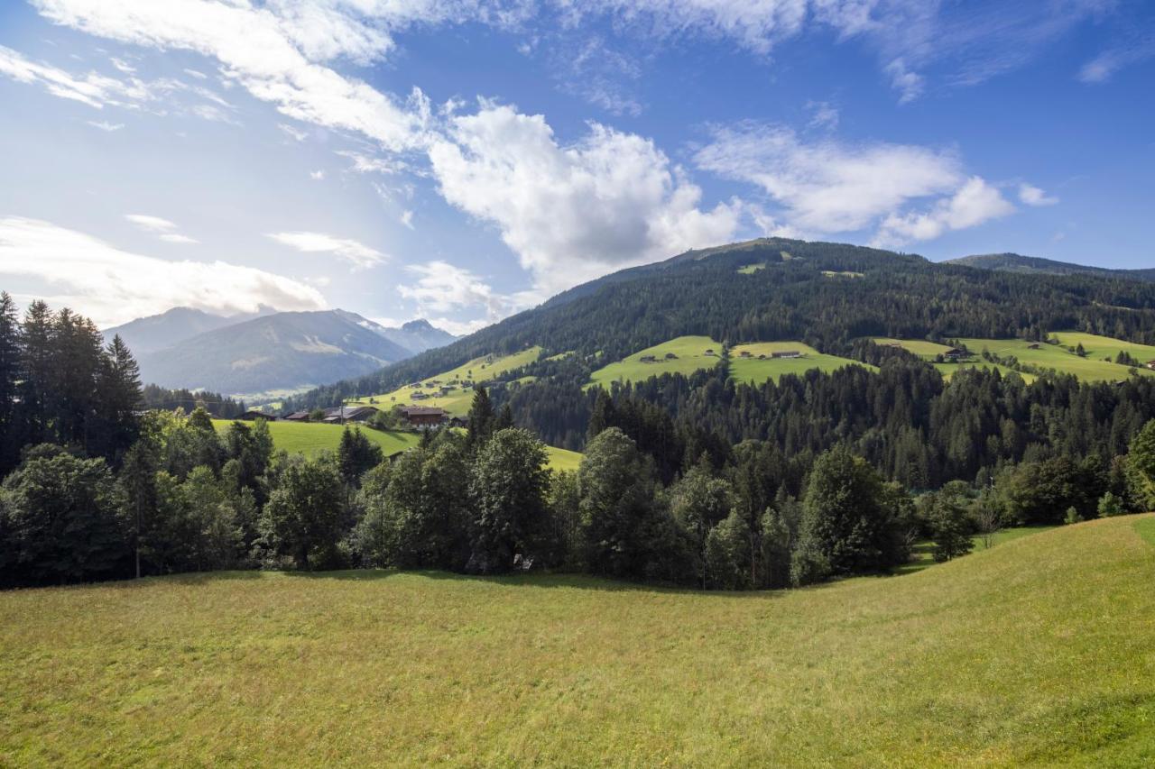 Alpbacherhof Mountain & Spa Resort Exteriér fotografie