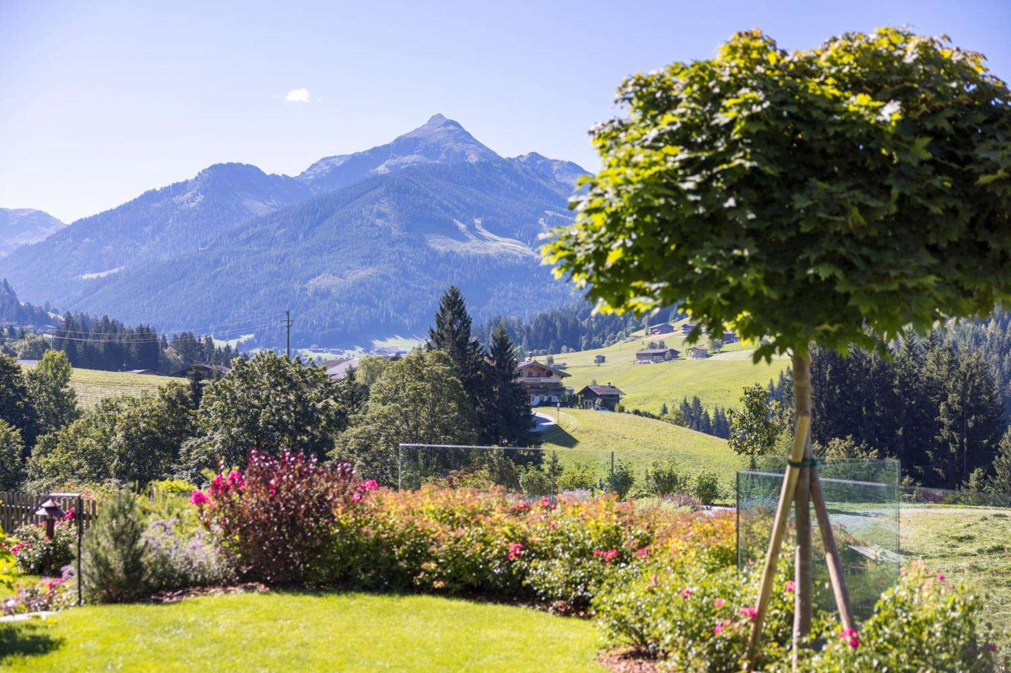 Alpbacherhof Mountain & Spa Resort Exteriér fotografie